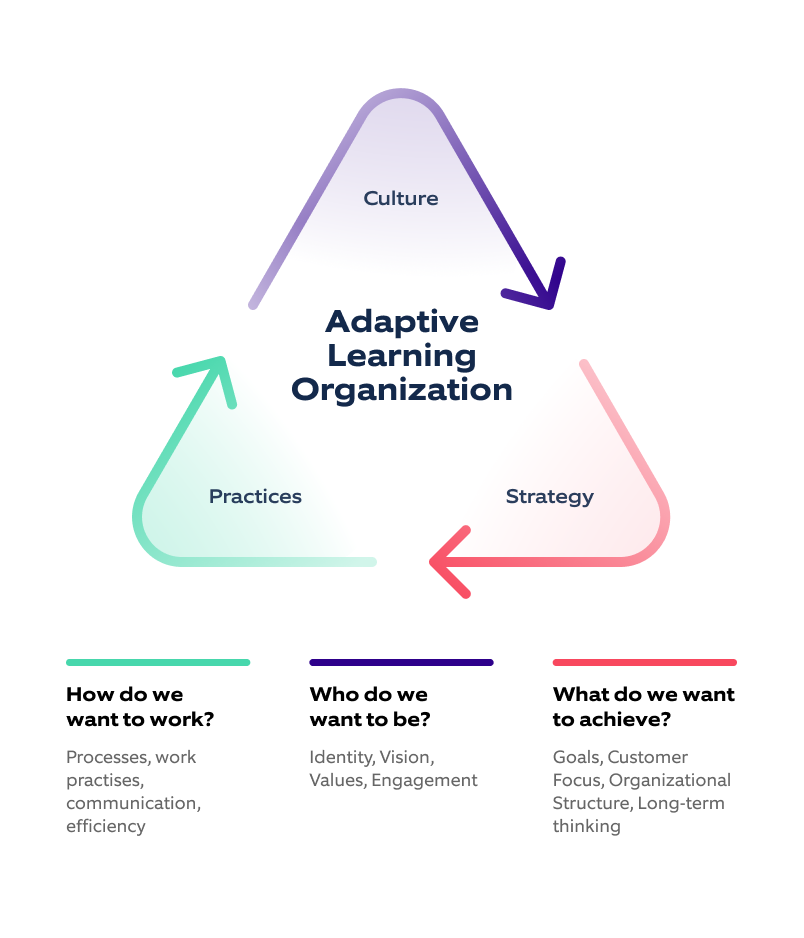 Levels of Transformation Management