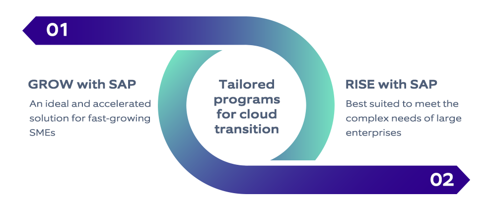 GROW with SAP vs. RISE with SAP