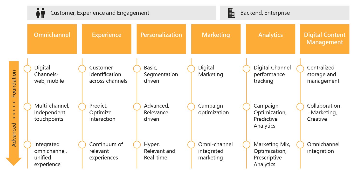 Customer Digital Maturity Model.jpg