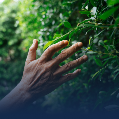 Hand on greenery dipicting sustainability