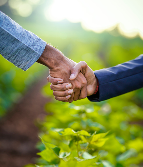 Two people holding their hands